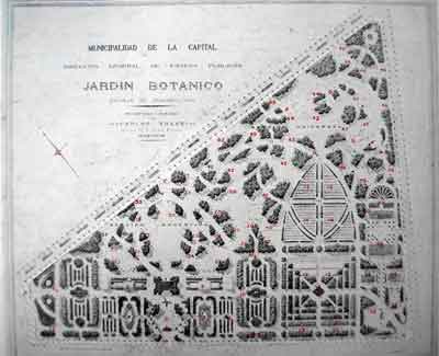Plano de 1892-1896 del Botánico, nótese que en el cantero no existen aun las Vidrieras ni el Invernadero Caliente; el cantero de la Yerba Mate es el no. 16 a su lado