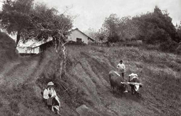 Figura 5: La barranca de Martínez a finales del siglo XIX aun con usos agrícolas (Archivo Histórico de San Isidro).
