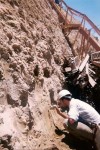 Primera Buenos Aires: segundo informe geológico   